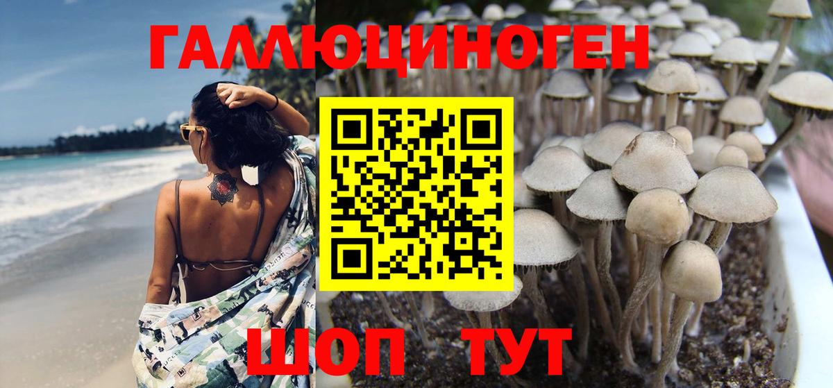 Галлюциногенные грибы ЛСД Советская Гавань