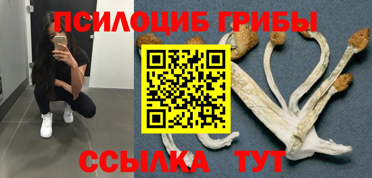 Советская Гавань  Псилоцибиновые грибы Psilocybine cubensis  Вход с VPN 